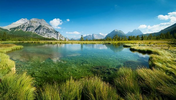 Découvrez les secrets des croisiéristes pour vos voyages !